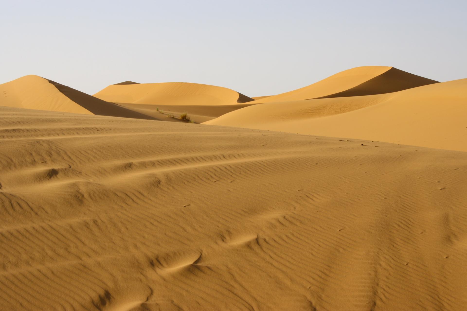 Western Sahara