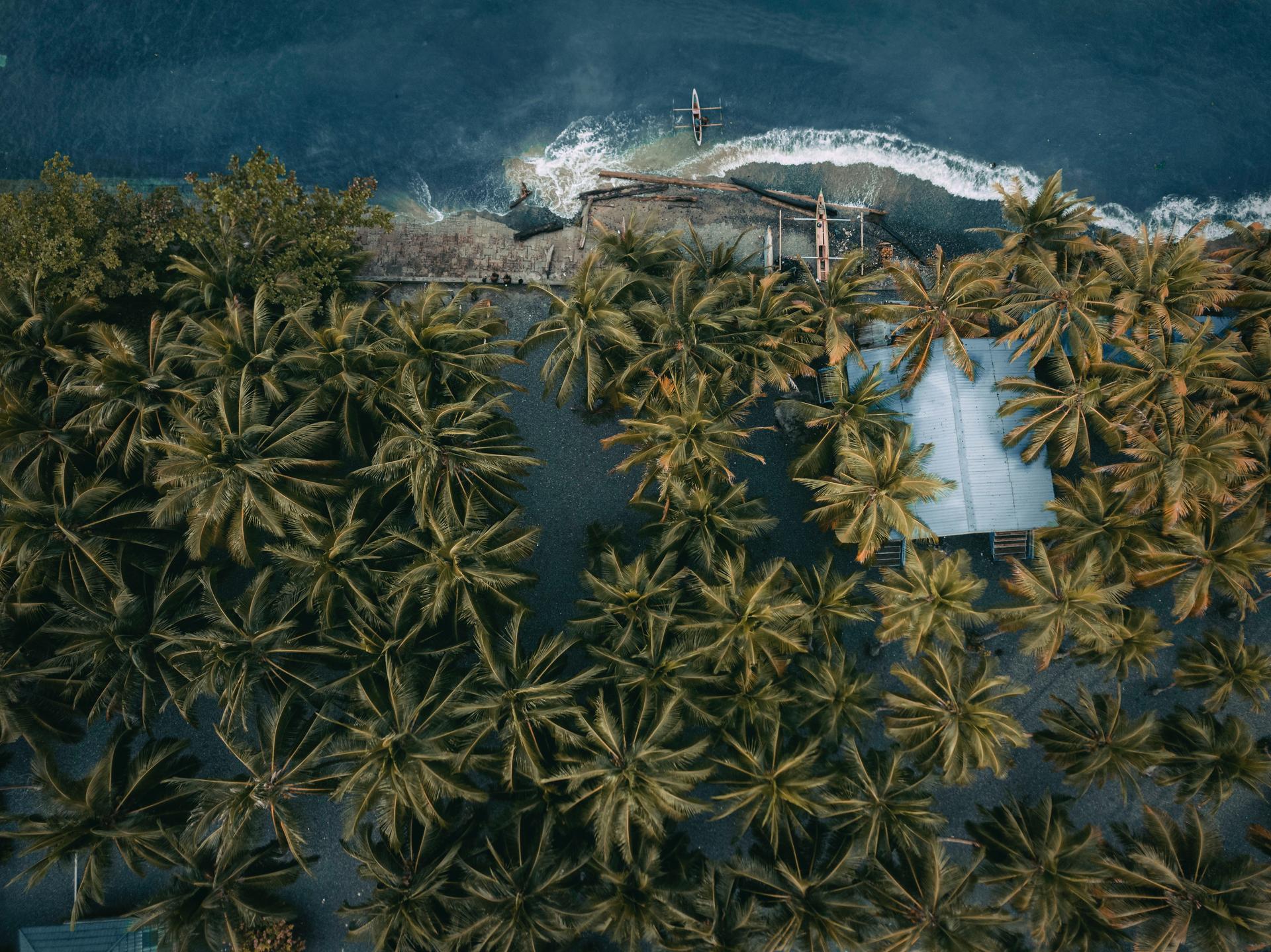 Papua New Guinea