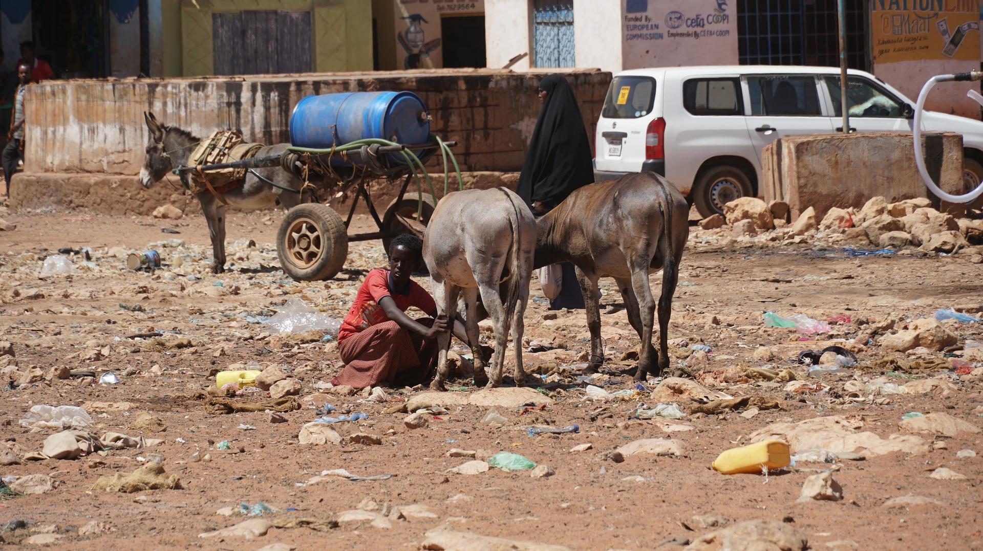 Somalia